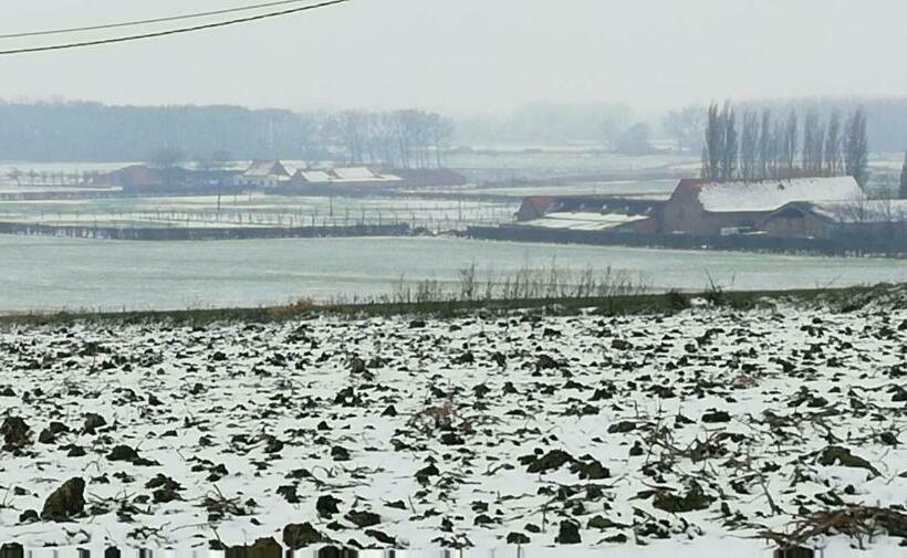 ペンション Guesthouse Kolibriehuys