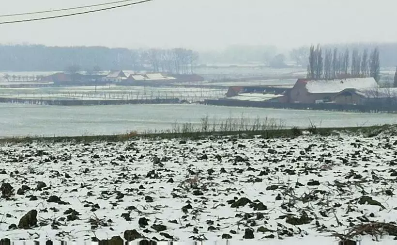 Majatalo Guesthouse Kolibriehuys