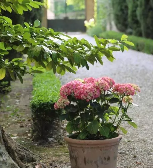 Majatalo La Suite De La Bastide