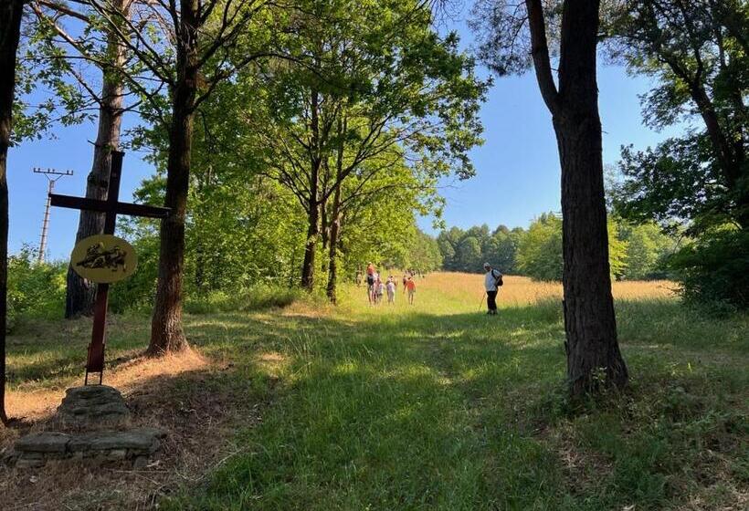 بنسيون Penzión Gaboltov