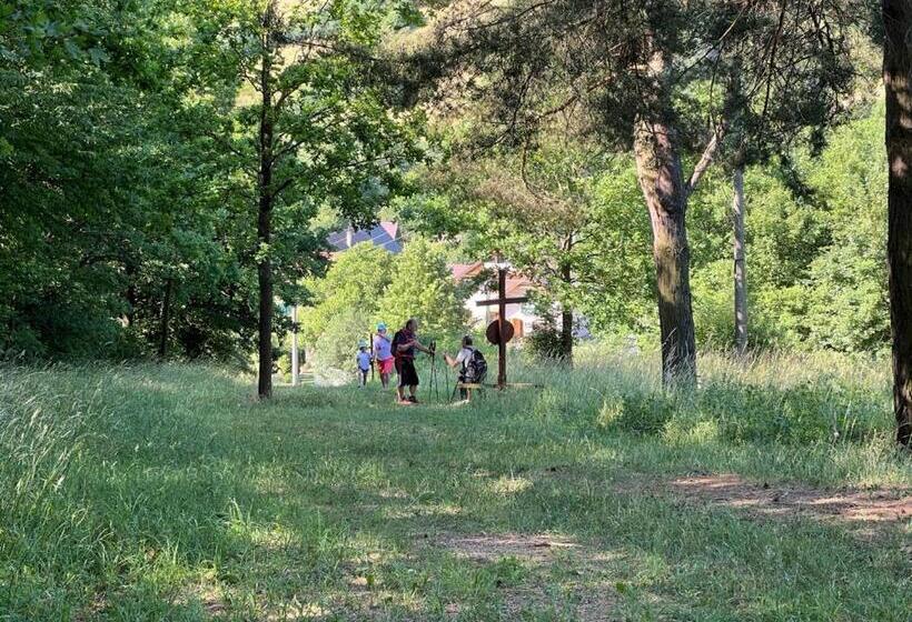 بنسيون Penzión Gaboltov