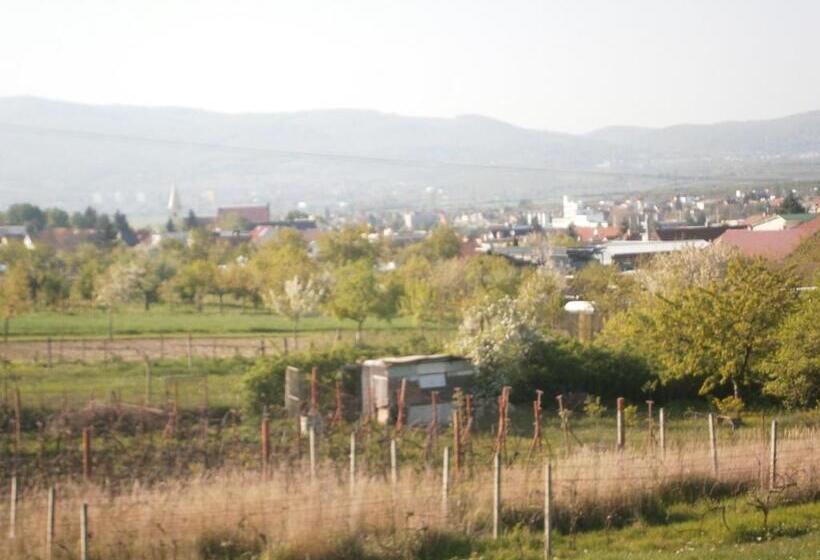 פנסיון Penzión Ranč šenkvice