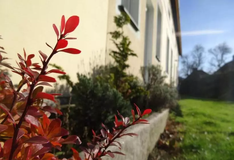 Majatalo U Nás   Apartmán Zajíc