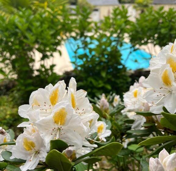 Bed and Breakfast Le Domaine D Etaville