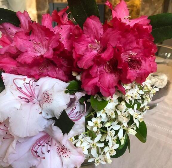 Bed and Breakfast Le Domaine D Etaville