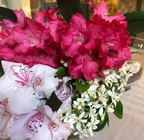 ベッドアンドブレックファースト Le Domaine D Etaville