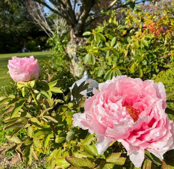 Bed and Breakfast Le Domaine D Etaville