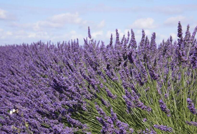 B&b Ferme De La Rouzannerie Pour 2 Ou Famille