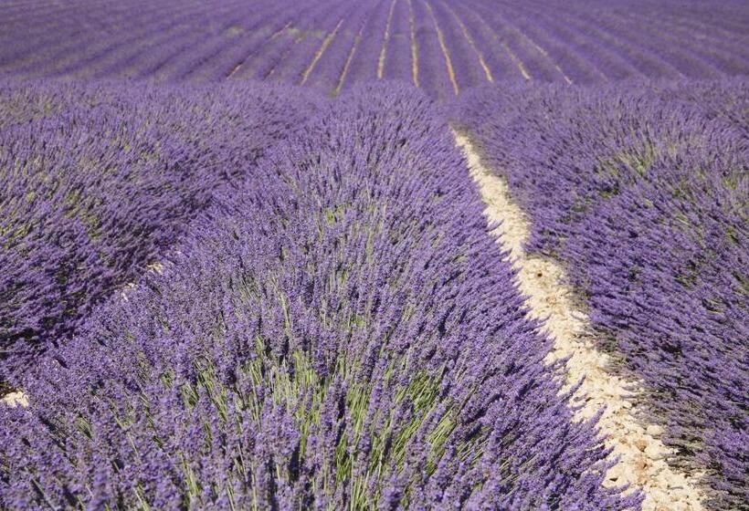 B&b Ferme De La Rouzannerie Pour 2 Ou Famille