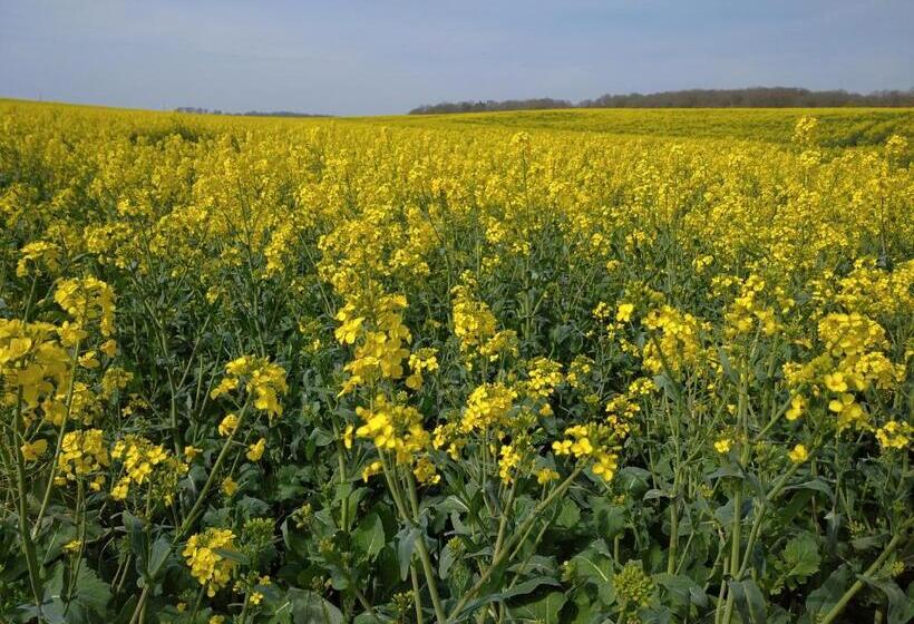 B&b Ferme De La Rouzannerie Pour 2 Ou Famille