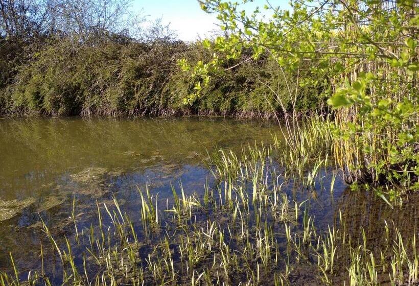 B&b Ferme De La Rouzannerie Pour 2 Ou Famille