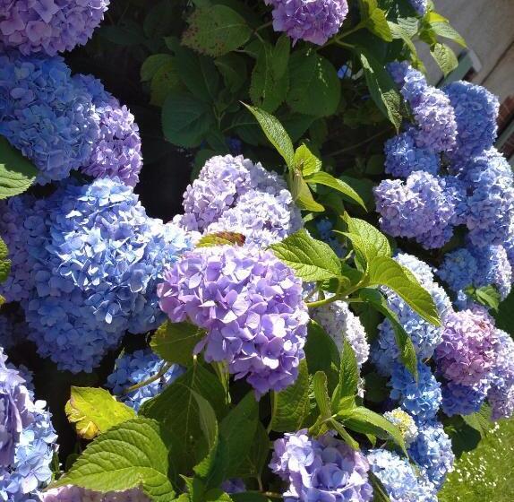 B&b Ferme De La Rouzannerie Pour 2 Ou Famille