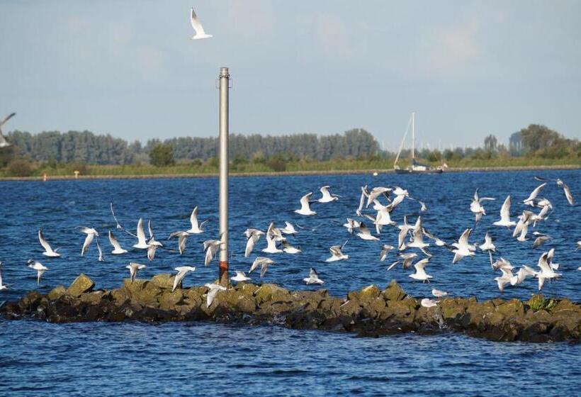 B&b Logeren Bij De Burgemeester