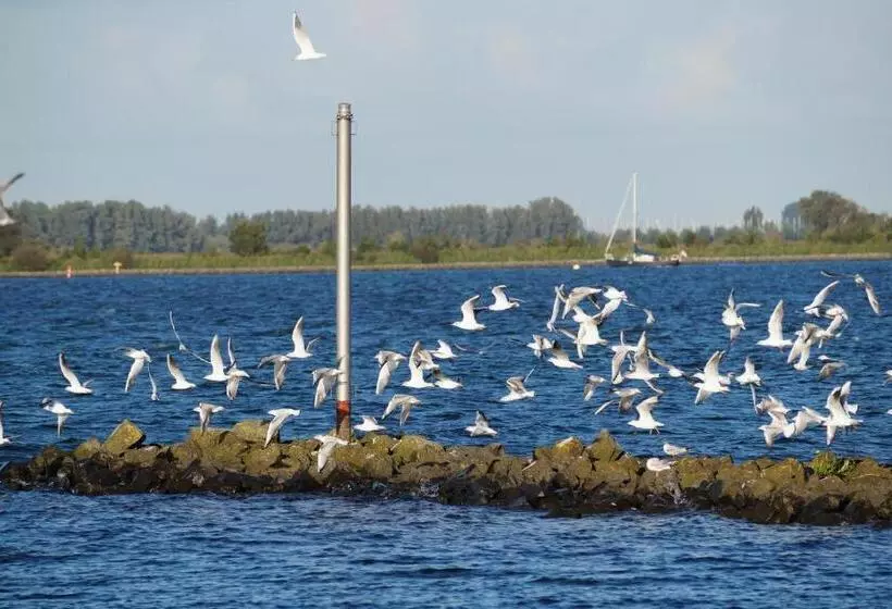 B&b Logeren Bij De Burgemeester