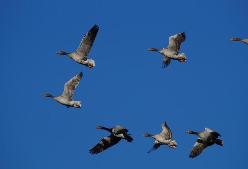 B&b Logeren Bij De Burgemeester