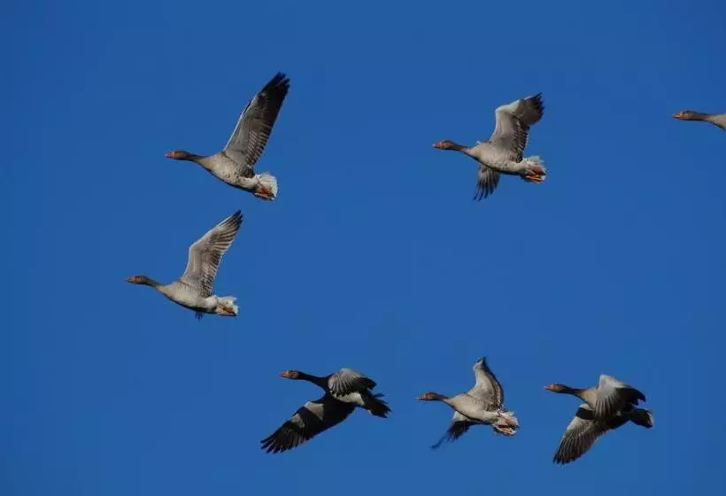 B&b Logeren Bij De Burgemeester