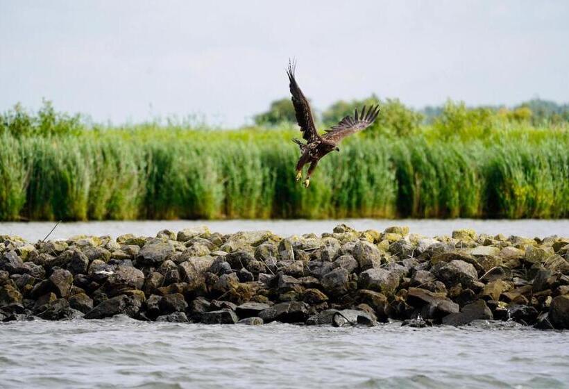 B&b Logeren Bij De Burgemeester