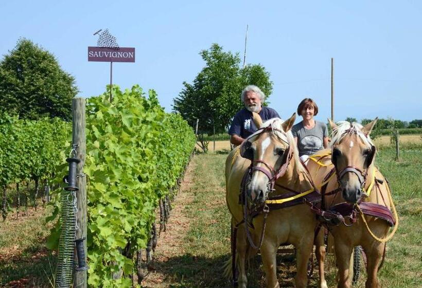 مبيت وإفطار Casa Ariis