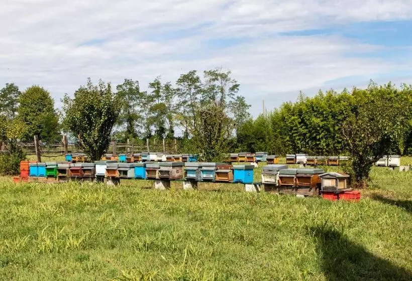 ベッドアンドブレックファースト Casa Ariis