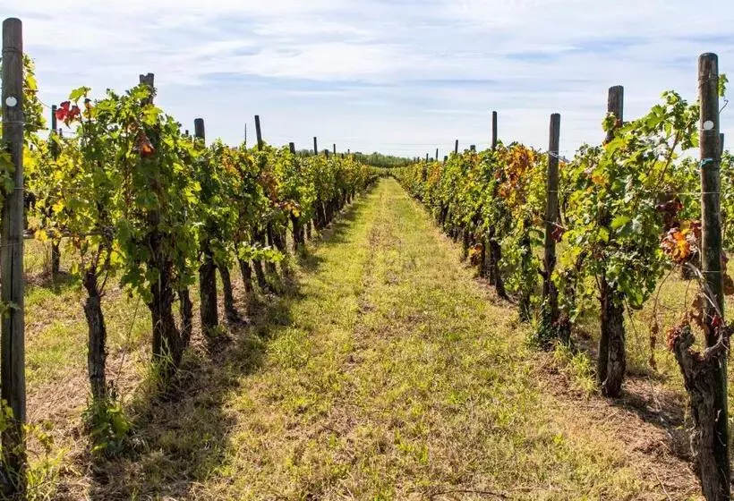 ベッドアンドブレックファースト Casa Ariis