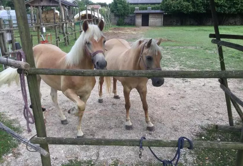 ベッドアンドブレックファースト Casa Ariis