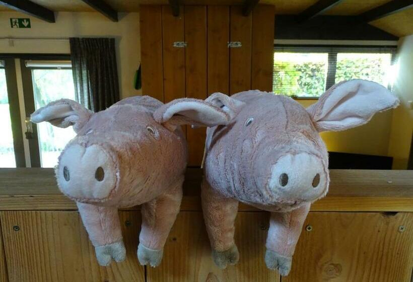 ベッドアンドブレックファースト De Oude Stoffeerderij