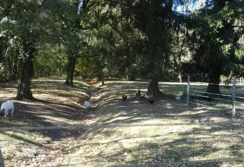 Aamiaismajoitus (B&B) La Belle D Antan