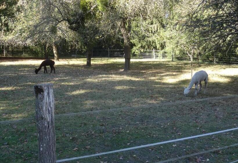 مبيت وإفطار La Belle D Antan