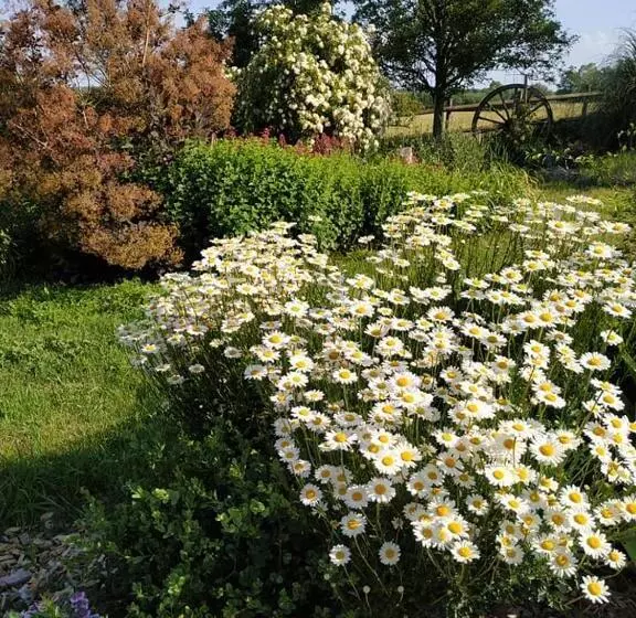 ベッドアンドブレックファースト Les Bienfaits D Harmonium