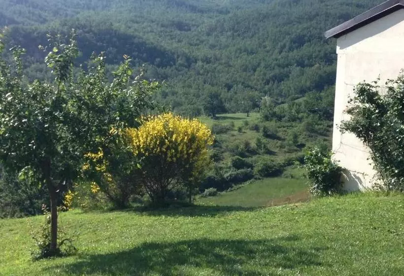 Aamiaismajoitus (B&B) Nido D Amore