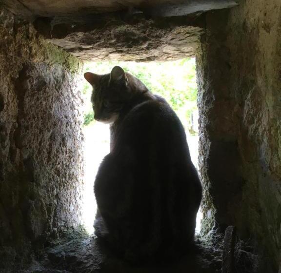 住宿加早餐 Normandy Inn