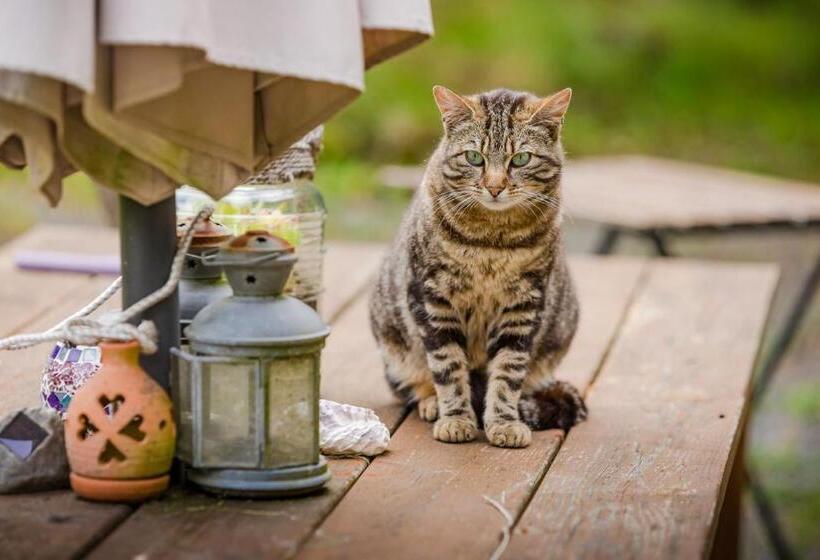 住宿加早餐 Normandy Inn