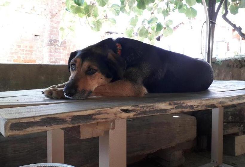 Bed and Breakfast Pocoburro Ca  D Arte