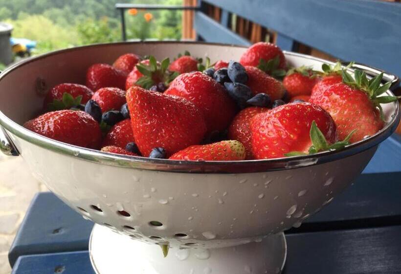 Bed and Breakfast Rose Hip Hill Farm