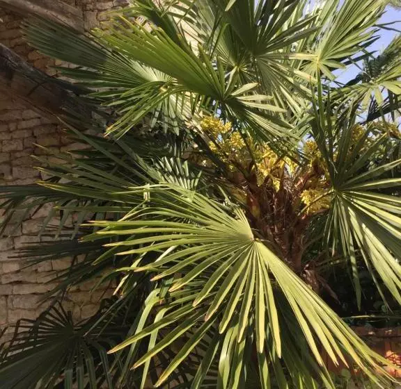 ベッドアンドブレックファースト Rêves D Autise