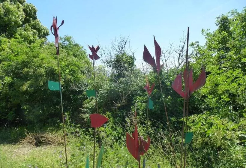 Aamiaismajoitus (B&B) Tempepailla