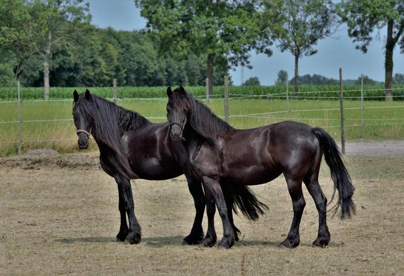 Bed And Breakfast Wouw