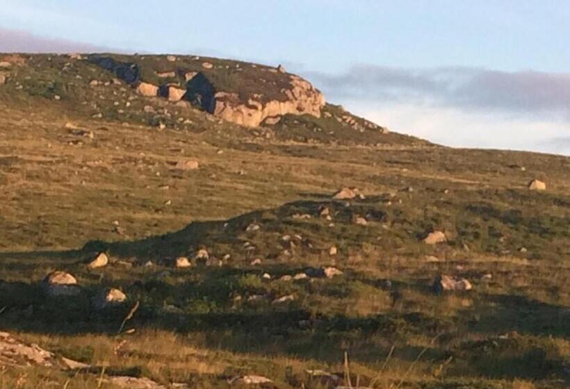 Hillcrest Farmhouse Bed & Breakfast