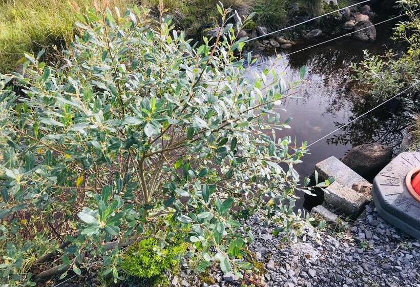 Hillcrest Farmhouse Bed & Breakfast