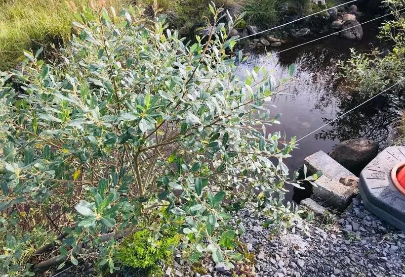 Hillcrest Farmhouse Bed & Breakfast