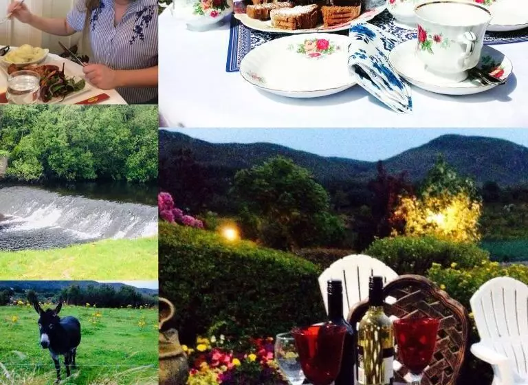 Hillcrest Farmhouse Bed & Breakfast