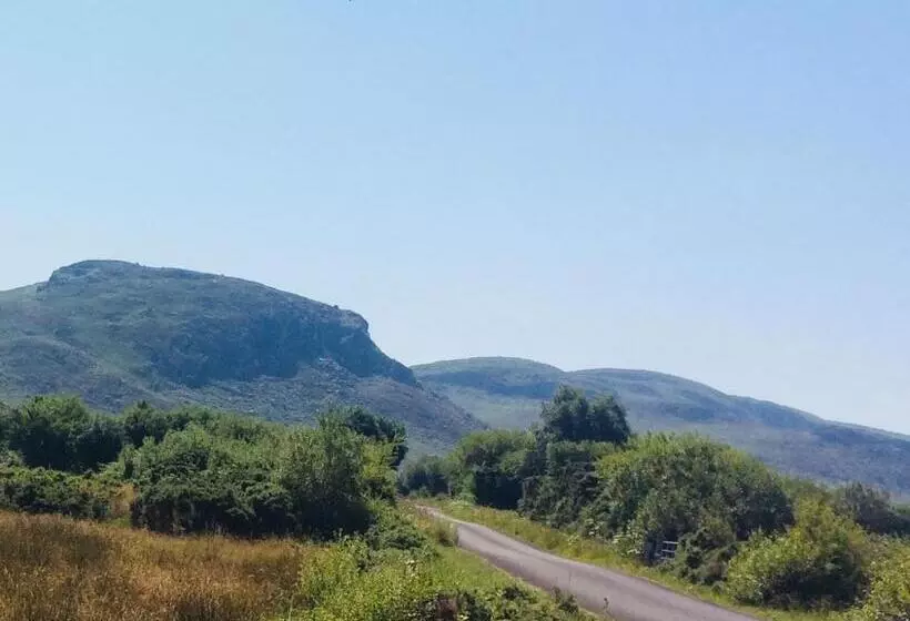 Hillcrest Farmhouse Bed & Breakfast