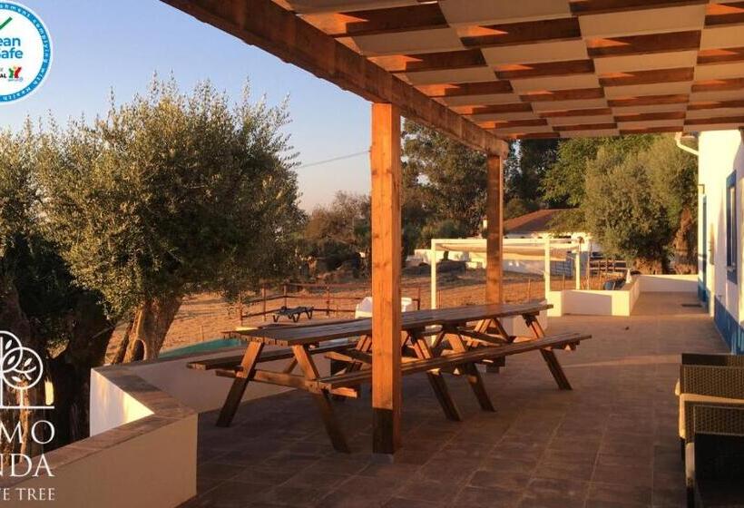 هتل Almojanda 3 Olive Tree