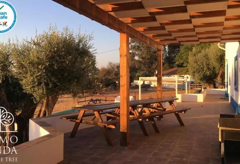 هتل Almojanda 3 Olive Tree