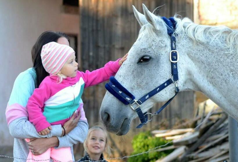 בית מלון כפרי Buchtův Statek