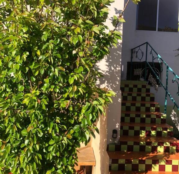 فنادق الكبسولة Jade