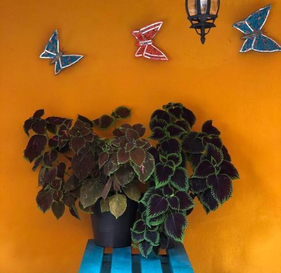 فنادق الكبسولة Jade