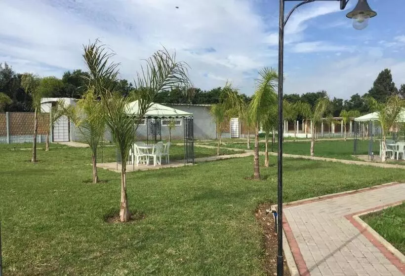هتل Palm Grove Farm