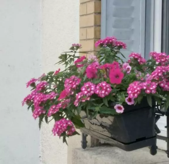 Majatalo Chambres Dhôtes Logette