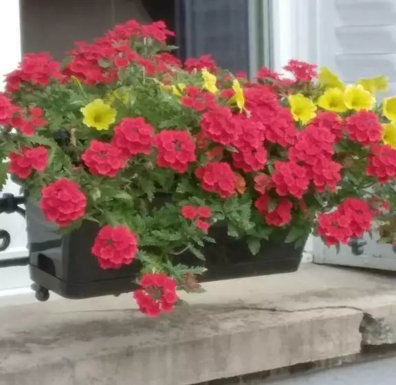 Majatalo Chambres Dhôtes Logette